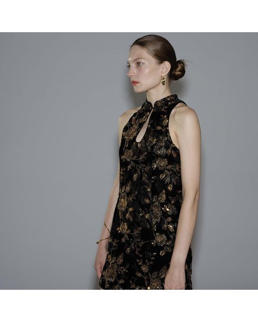 Belsize25 Black Golden Garden And Velvet Beaded Floral Halterneck Mini Dress