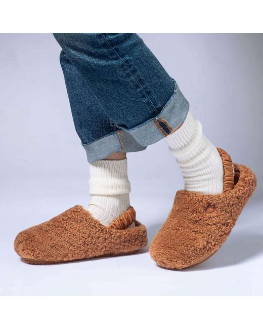 MYYAZ Brown Teddy Clog