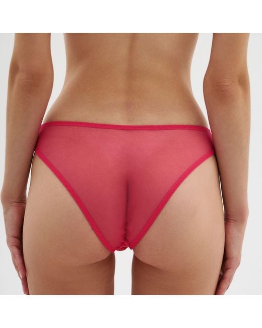 Daily Underwear Red Classic Brazilian Panties Flamingo