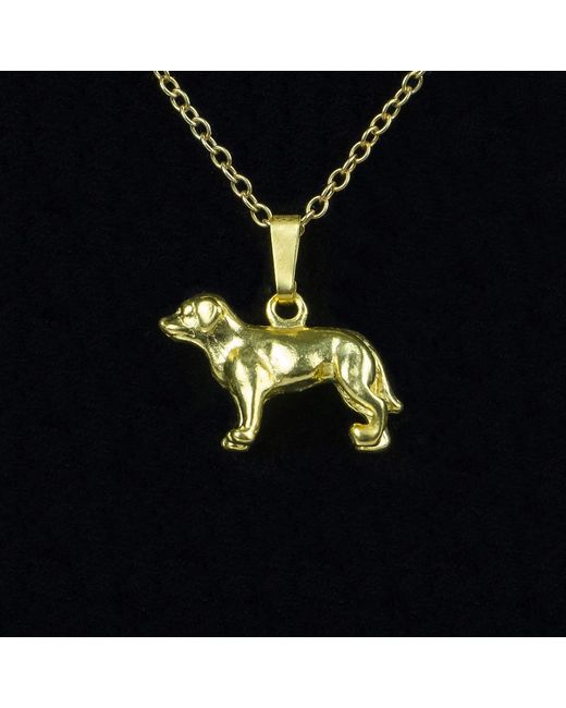 Simon Kemp Jewellers Metallic Labrador Pendant Eighteen Carat On Solid Sterling