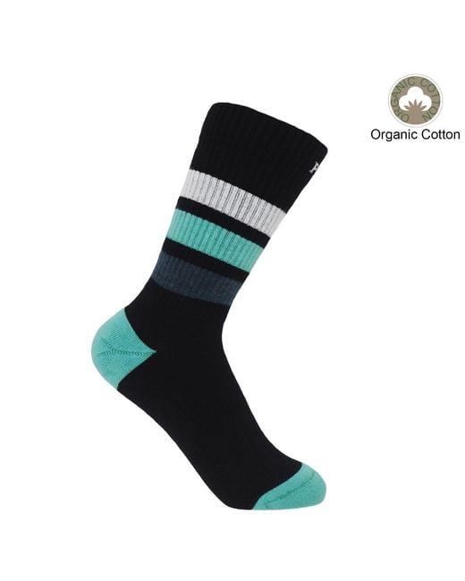 Peper Harow - Made in England Blue Organic Striped Sport Socks Bundle