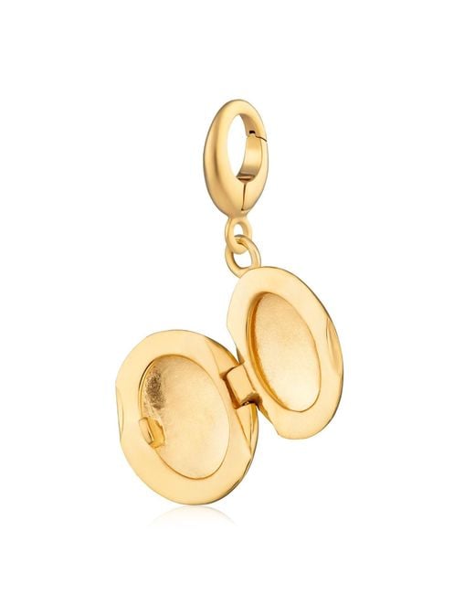 Lily Charmed Metallic Plated Tiny Celestial Locket Charm