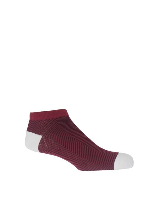 Peper Harow - Made in England Blue Trainer Socks Bundle – Seven Pairs Lux Taylor for men
