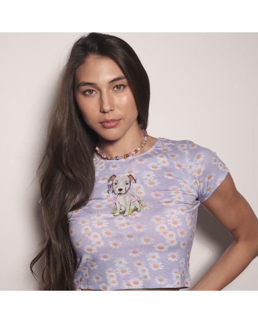 Cloud Haven Pink Daisy Pittie Tee
