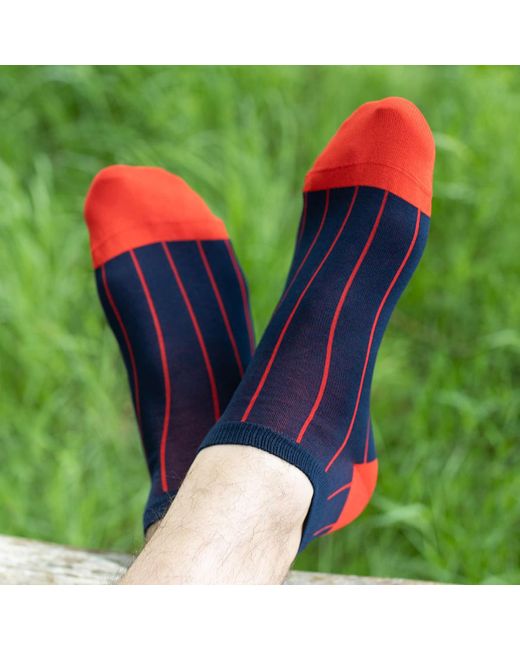 Peper Harow - Made in England Blue Pin Stripe & Classic Royal Trainer Socks Bundle for men