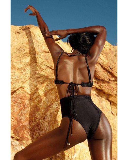 Animal Black Lacer Bikini Bottom