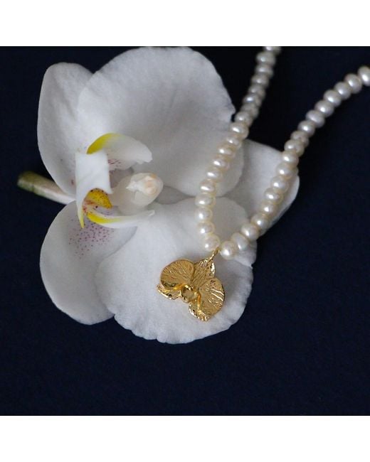Agora Jewellery Metallic Orchid Pearl Necklace