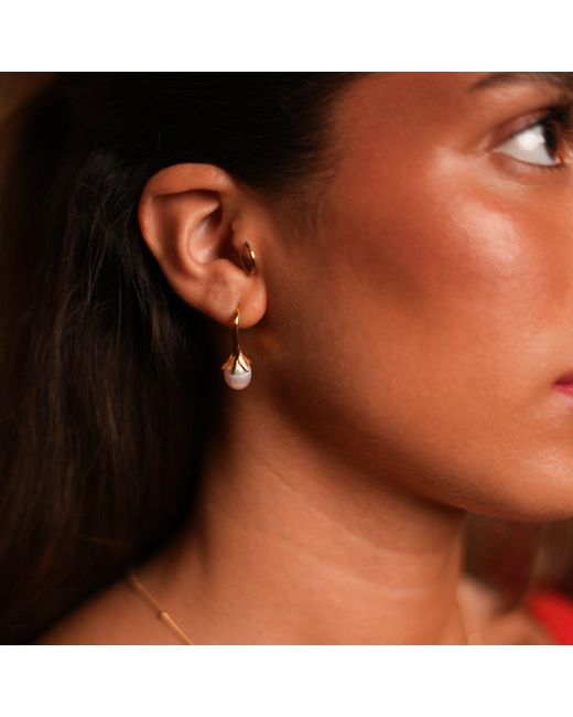 Ebru Jewelry Metallic Dainty Vermeil & Pearl Design Statement Earrings