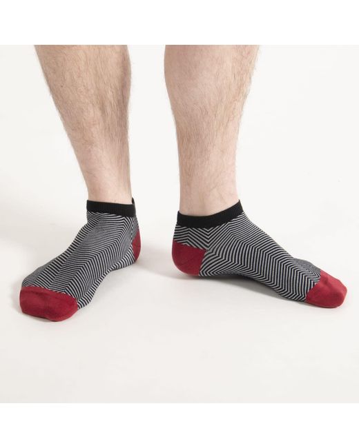 Peper Harow - Made in England Blue Lux Taylor Trainer Socks Bundle – Sky for men