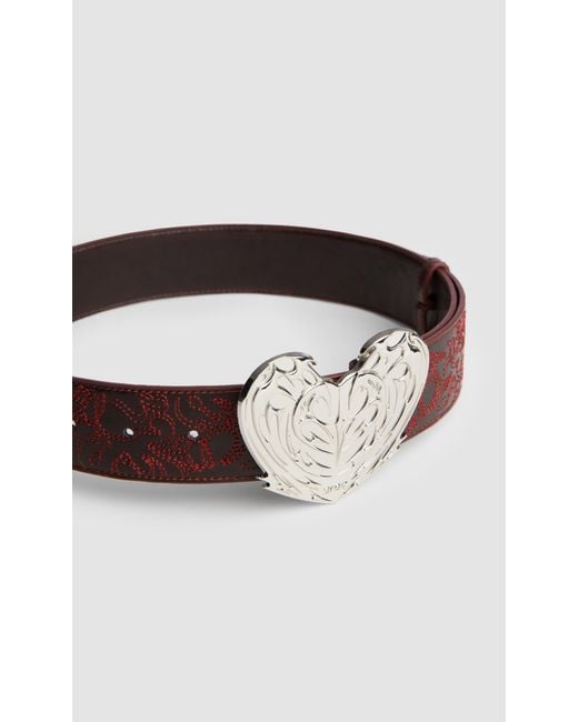 PREVU Brown Regan Belt