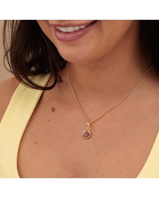 Lily Charmed Metallic Plated Snake Resin Capture Charm Necklace