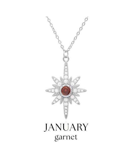 Luna Charles Metallic Heidi North Star Birthstone Necklace January