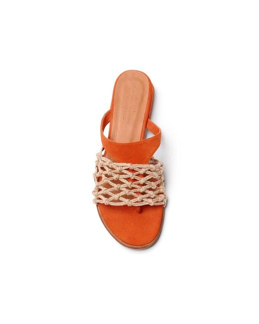 Naguisa Red Figueras