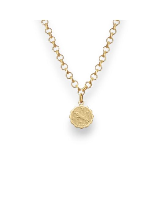 Alexie of Athens Metallic Aries Zodiac Mini Medallion Chain Necklace