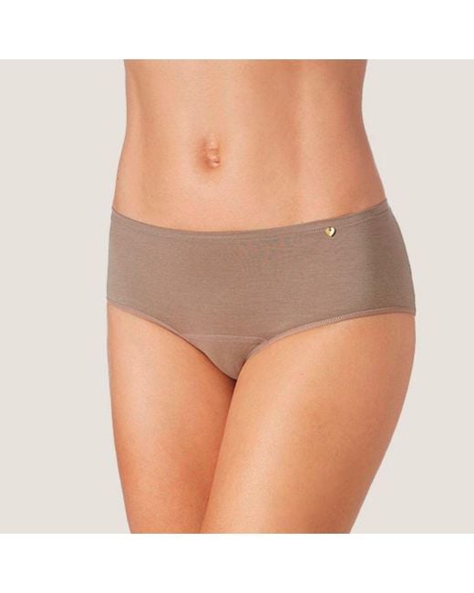 Zd - Zero Defects Gray Circe Culotte – Elegant Fit & Natural Comfort