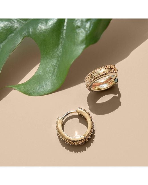 Charlotte's Web Jewellery Metallic Rania Huggie Hoop Earrings