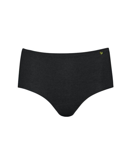 Zd - Zero Defects Black Atenea High-Waist Brief – Stylisht Fit & Comfort With Soy Fiber