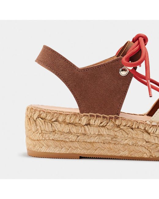 Naguisa Brown Neutrals Cima Ecru