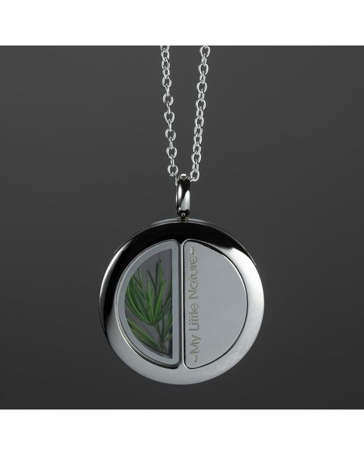 My Little Nature Metallic Nature Necklace With Real Pine Needles – Handcrafted Jewelry Symbolizing Eternal Youth, Forest-Inspired Necklace