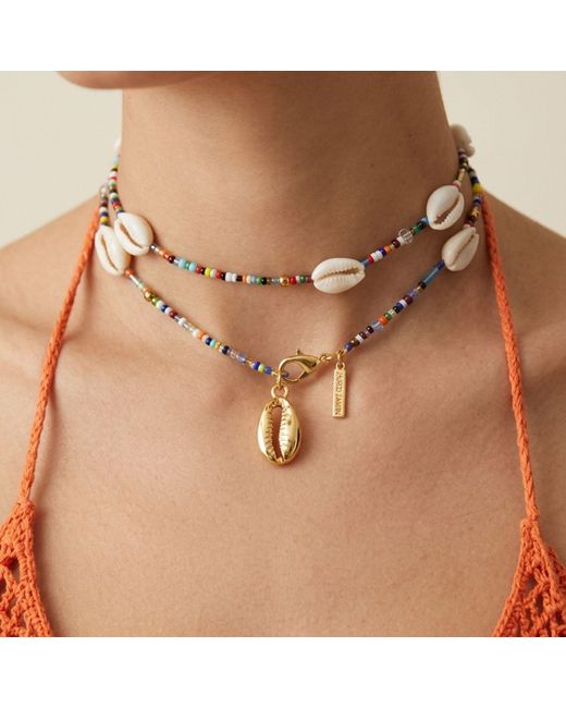Jaredjamin Metallic Malibu Cowrie Shell Necklace for men