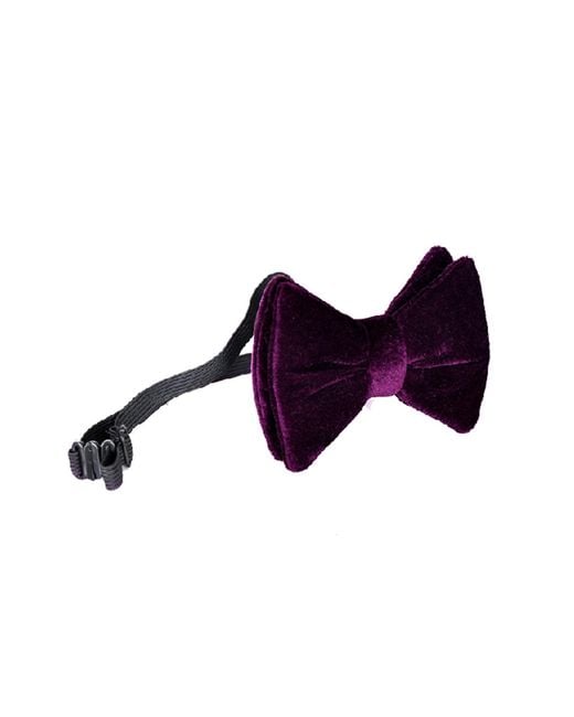 DAVID WEJ Purple Butterfly Velvet Bow Tie – for men