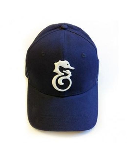 Robert & Son Blue Robert And Son Cap for men