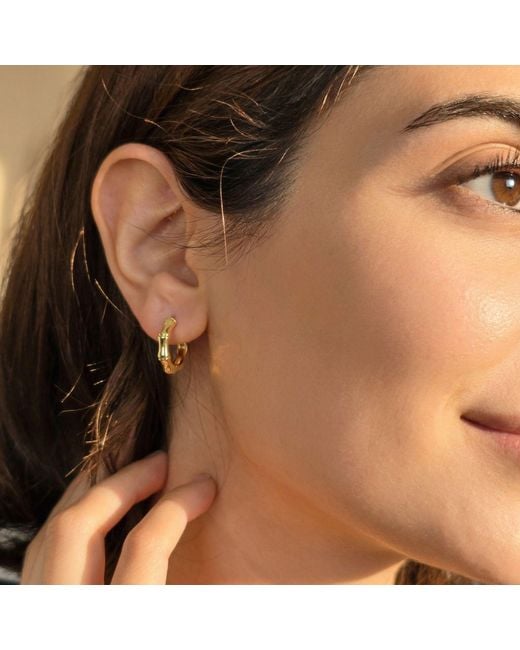 Harfi Metallic Plated Bamboo Everyday Huggie Earrings