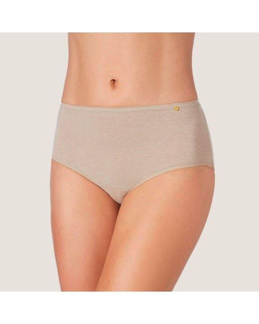 Zd - Zero Defects Gray Neutrals Atenea High-Waist Brief – Stylisht Fit & Comfort With Soy Fiber