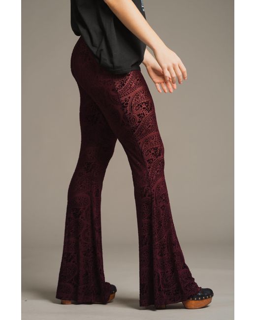 Little Lies Red Hendrix Plum Devore Velvet Flares