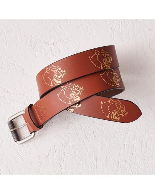 VIDA VIDA Brown Panther Dark Tan Leather Belt for men