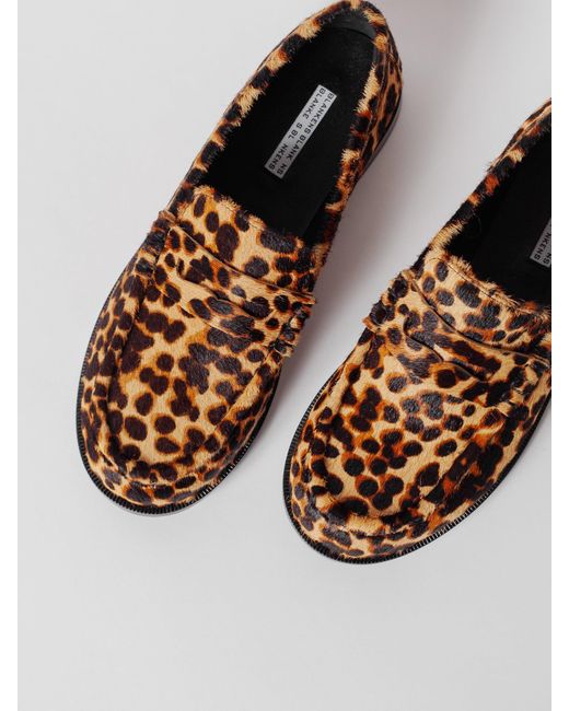 Blankens Brown The Celeste Leopard