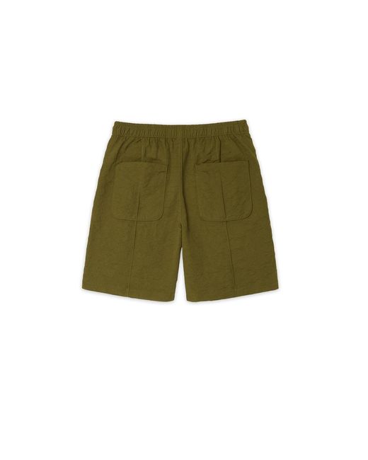 Éclectique Green Designer Casual Shorts for men