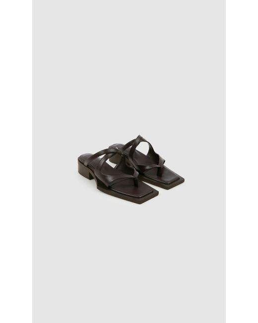 PREVU Black Karel Mule