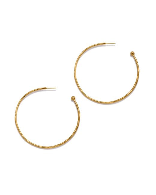 Jaredjamin Metallic Medium Hooptastic Post Earrings
