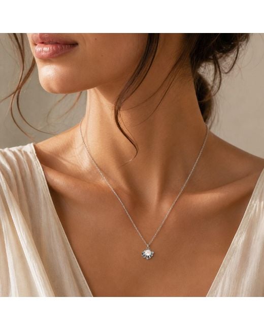 Unaloe Metallic Sterling Seashell Necklace With Natural Pearl – Ocean Inspired Coastal Jewellery For