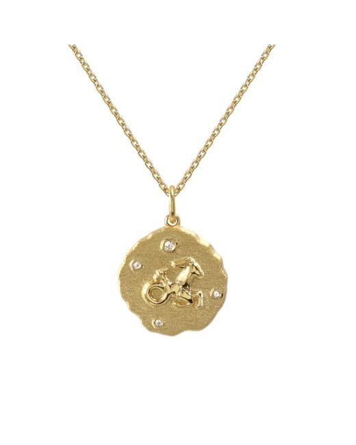 Hye Jane Jewelry Metallic Capricorn Zodiac Necklace