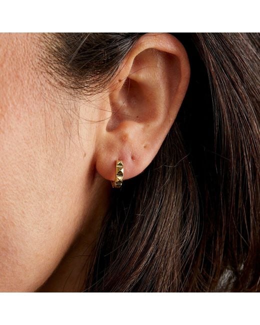 Dolcetto Designs Metallic Cestius Hoop Earring