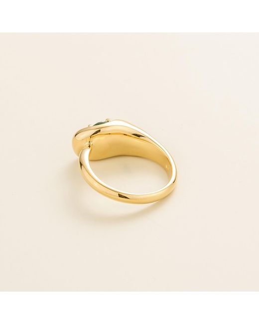 Juvetti Metallic Fava Ring