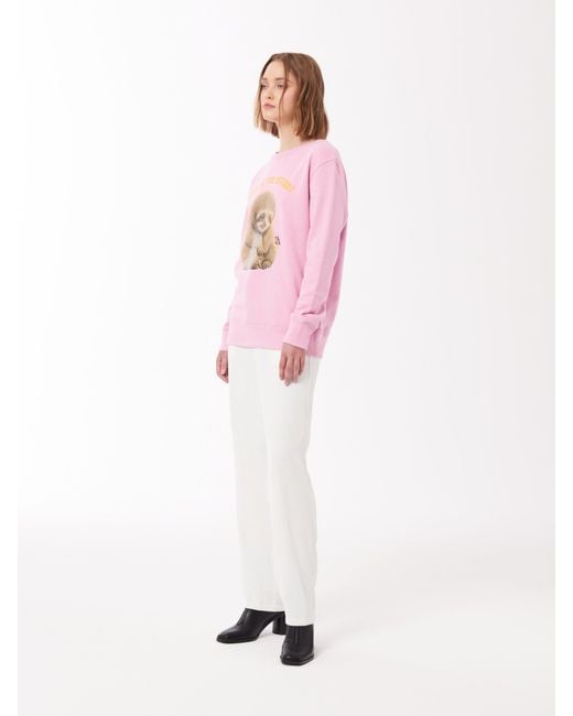Sour Figs Pink Sloth Print Sweatshirt
