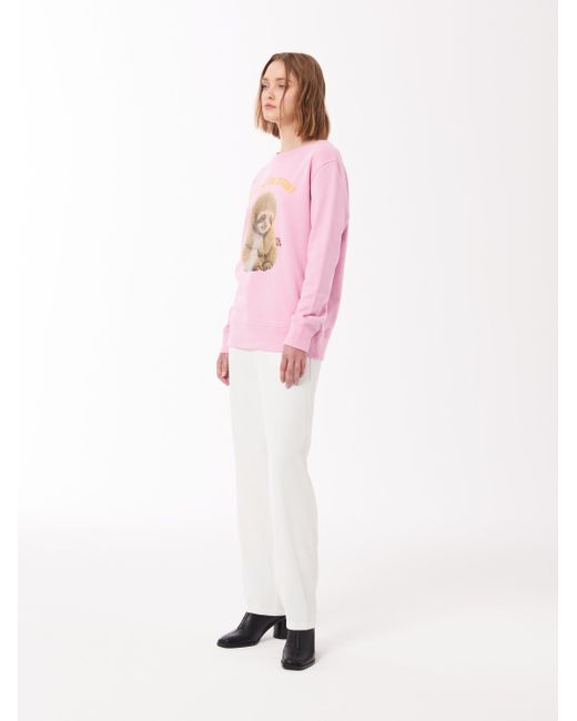 Sour Figs Pink Sloth Print Sweatshirt