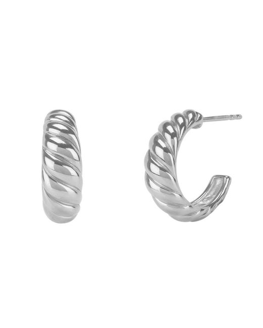 Bermuda Watch Company Metallic Annie Apple Milly Sterling, Croissant Hoop Earrings