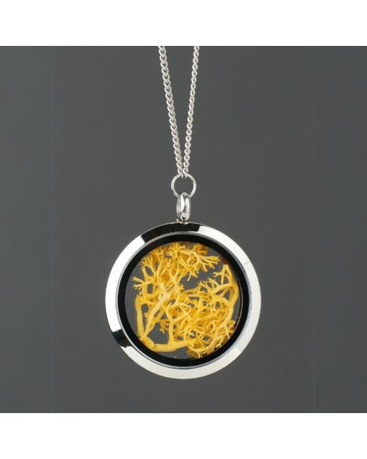 My Little Nature Metallic Handmade Jewelry Necklace With Natural Moss