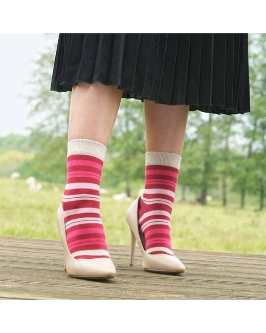 Peper Harow - Made in England Red Elizabeth Punch & Classic Burgundy Socks Bundle