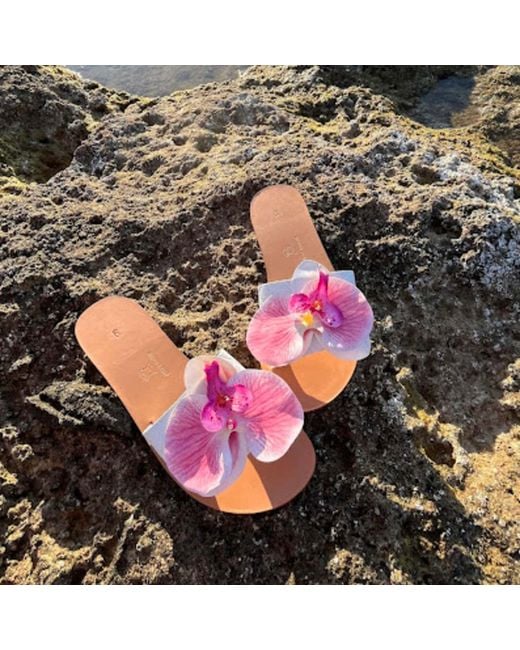 Sibylla Delphica Pink Calanthe Flat Leather Sandals