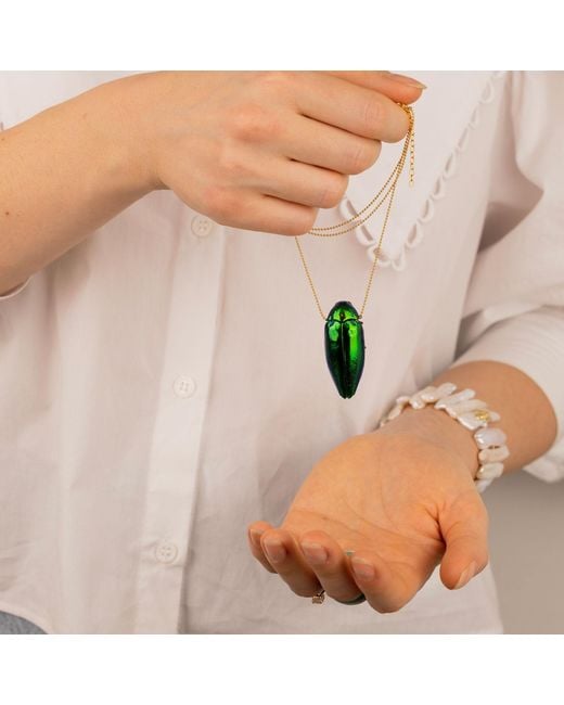 Oana Savu Green Sterling Necklace Real Beetle Insect Pendant
