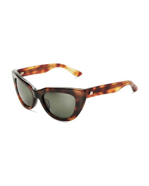 The Avantguard Brown Lotus Dark Choc Tort