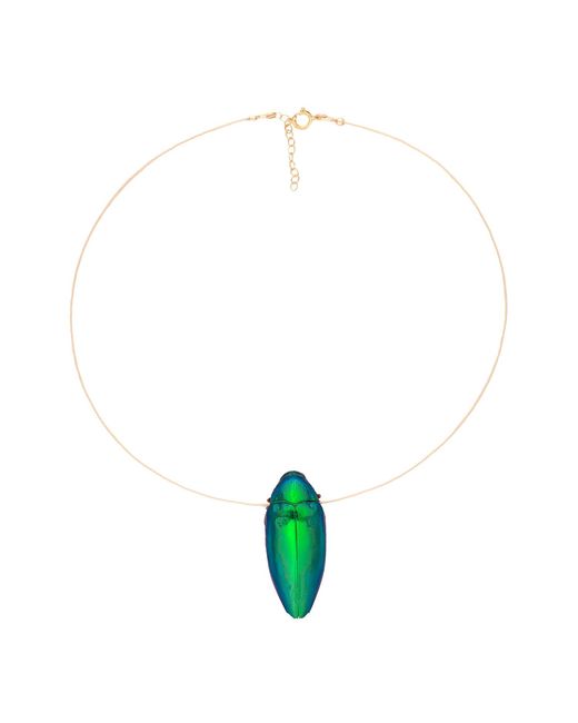 Oana Savu Metallic Beetle Real Insect Scarab Elegant Luxury Choker