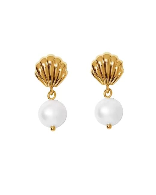 Nazzar Metallic Shell Pearl Dangle Earring