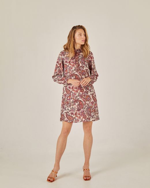 Niza Multicolor Neutrals Short Dress With Lapel Collar And Embroidery
