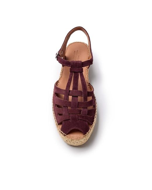 Naguisa Brown Bemol Eggplant